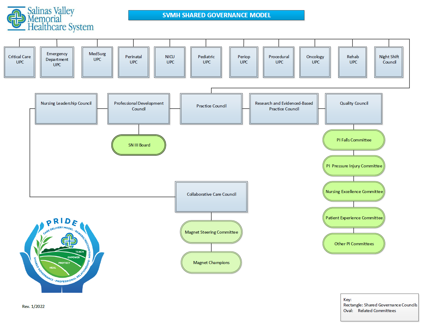 SVMHS Shared Governance Model